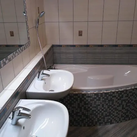 Apartman Dolni Rokytnice 496 *
