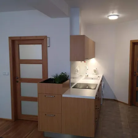 Apartment Apartman Dolni Rokytnice 496 Rokytnice nad Jizerou